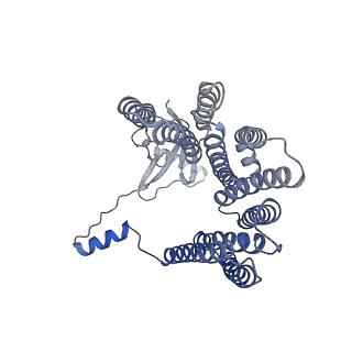 12517_7npr_DA_v1-0
Structure of an intact ESX-5 inner membrane complex, Composite C3 model