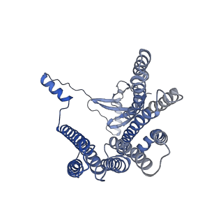 12517_7npr_DC_v1-0
Structure of an intact ESX-5 inner membrane complex, Composite C3 model