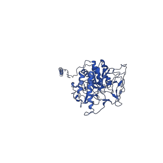 12517_7npr_P1_v1-0
Structure of an intact ESX-5 inner membrane complex, Composite C3 model
