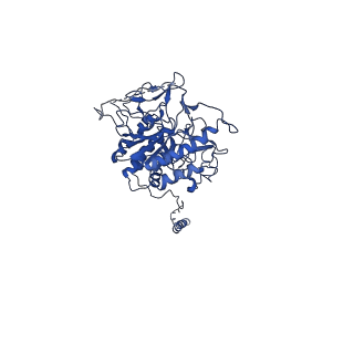 12517_7npr_P2_v1-0
Structure of an intact ESX-5 inner membrane complex, Composite C3 model