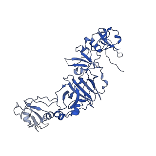 12518_7nps_B2_v1-2
Structure of the periplasmic assembly from the ESX-5 inner membrane complex, C1 model