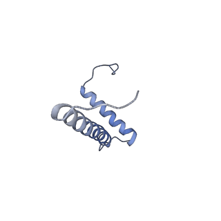 12521_7npu_B1_v1-0
MycP5-free ESX-5 inner membrane complex, state I