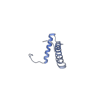 12521_7npu_B2_v1-0
MycP5-free ESX-5 inner membrane complex, state I