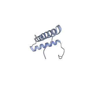 12521_7npu_B3_v1-0
MycP5-free ESX-5 inner membrane complex, state I