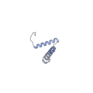 12521_7npu_B4_v1-0
MycP5-free ESX-5 inner membrane complex, state I