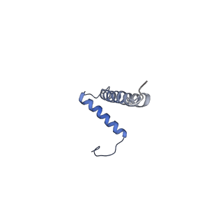 12521_7npu_B5_v1-0
MycP5-free ESX-5 inner membrane complex, state I