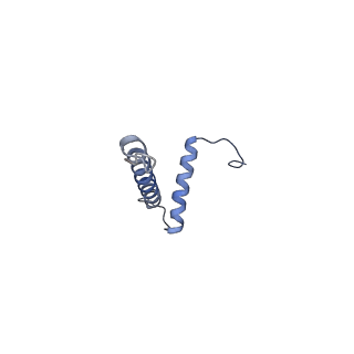 12521_7npu_B6_v1-0
MycP5-free ESX-5 inner membrane complex, state I