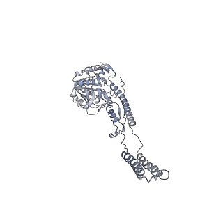 12521_7npu_C1_v1-0
MycP5-free ESX-5 inner membrane complex, state I