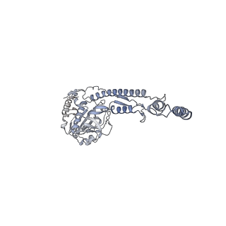 12521_7npu_C2_v1-0
MycP5-free ESX-5 inner membrane complex, state I