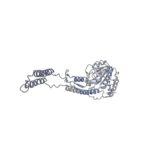 12521_7npu_C3_v1-0
MycP5-free ESX-5 inner membrane complex, state I