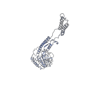12521_7npu_C5_v1-0
MycP5-free ESX-5 inner membrane complex, state I