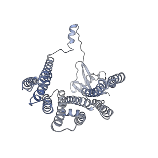 12521_7npu_D2_v1-0
MycP5-free ESX-5 inner membrane complex, state I