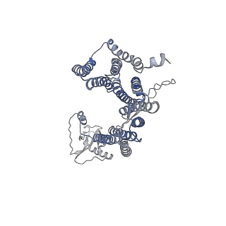 12521_7npu_D3_v1-0
MycP5-free ESX-5 inner membrane complex, state I