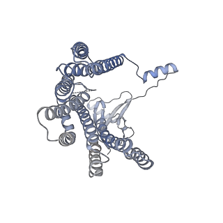 12521_7npu_D4_v1-0
MycP5-free ESX-5 inner membrane complex, state I