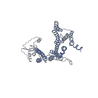 12521_7npu_D5_v1-0
MycP5-free ESX-5 inner membrane complex, state I