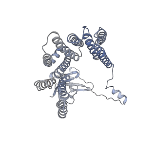 12521_7npu_D6_v1-0
MycP5-free ESX-5 inner membrane complex, state I