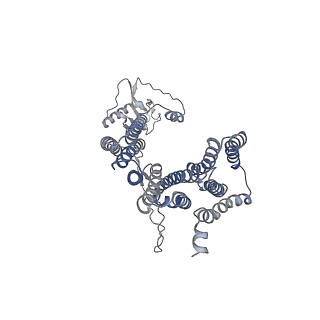 12521_7npu_D7_v1-0
MycP5-free ESX-5 inner membrane complex, state I