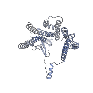 12521_7npu_D8_v1-0
MycP5-free ESX-5 inner membrane complex, state I