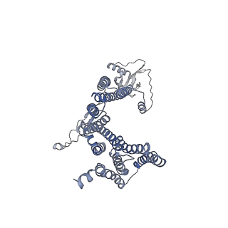 12521_7npu_D9_v1-0
MycP5-free ESX-5 inner membrane complex, state I