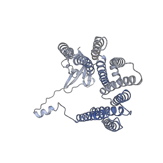 12521_7npu_DA_v1-0
MycP5-free ESX-5 inner membrane complex, state I