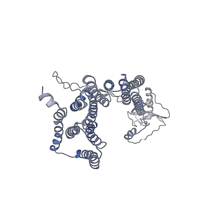 12521_7npu_DB_v1-0
MycP5-free ESX-5 inner membrane complex, state I