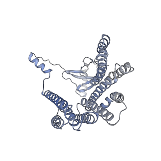 12521_7npu_DC_v1-0
MycP5-free ESX-5 inner membrane complex, state I