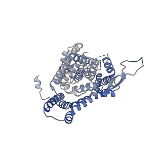 12524_7npw_A_v1-3
Cryo-EM structure of Human excitatory amino acid transporters-1 (EAAT1) in potassium buffer