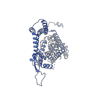 12524_7npw_B_v1-3
Cryo-EM structure of Human excitatory amino acid transporters-1 (EAAT1) in potassium buffer