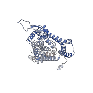 12524_7npw_C_v1-3
Cryo-EM structure of Human excitatory amino acid transporters-1 (EAAT1) in potassium buffer