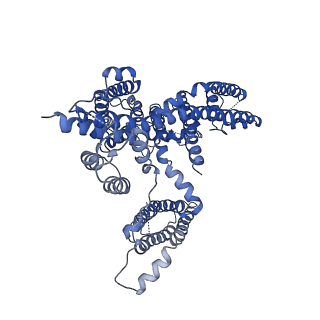 0477_6nq0_A_v1-1
Cryo-EM structure of human TPC2 channel in the ligand-bound open state