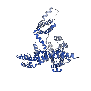0477_6nq0_B_v1-1
Cryo-EM structure of human TPC2 channel in the ligand-bound open state