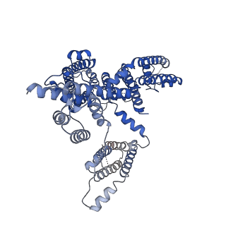 0478_6nq1_A_v1-1
Cryo-EM structure of human TPC2 channel in the apo state