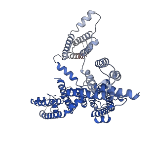 0478_6nq1_B_v1-1
Cryo-EM structure of human TPC2 channel in the apo state