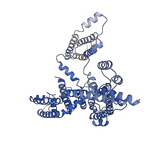 0479_6nq2_B_v1-1
Cryo-EM structure of human TPC2 channel in the ligand-bound closed state