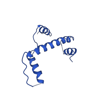 0480_6nqa_A_v1-3
Active state Dot1L bound to the H2B-Ubiquitinated nucleosome, 1-to-1 complex