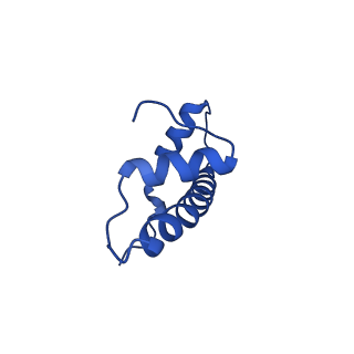 0480_6nqa_B_v1-3
Active state Dot1L bound to the H2B-Ubiquitinated nucleosome, 1-to-1 complex