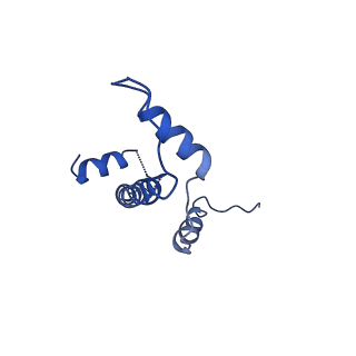 0480_6nqa_E_v1-3
Active state Dot1L bound to the H2B-Ubiquitinated nucleosome, 1-to-1 complex