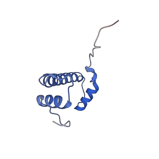 0480_6nqa_F_v1-3
Active state Dot1L bound to the H2B-Ubiquitinated nucleosome, 1-to-1 complex