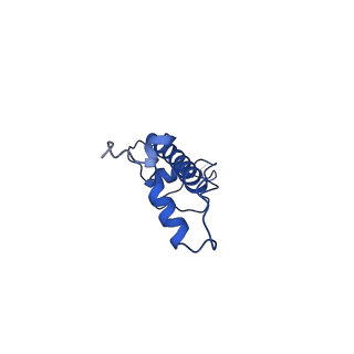 0480_6nqa_G_v1-3
Active state Dot1L bound to the H2B-Ubiquitinated nucleosome, 1-to-1 complex