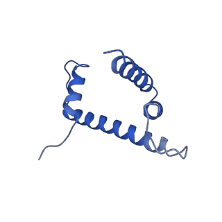0480_6nqa_H_v1-3
Active state Dot1L bound to the H2B-Ubiquitinated nucleosome, 1-to-1 complex