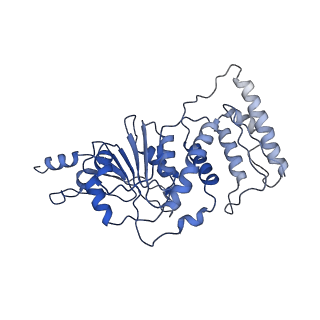 0480_6nqa_K_v1-3
Active state Dot1L bound to the H2B-Ubiquitinated nucleosome, 1-to-1 complex