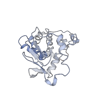 0482_6nqb_D_v1-4
Role of Era in Assembly and Homeostasis of the Ribosomal Small Subunit