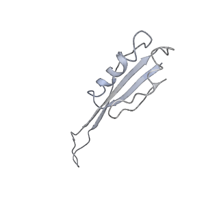 0482_6nqb_J_v1-4
Role of Era in Assembly and Homeostasis of the Ribosomal Small Subunit