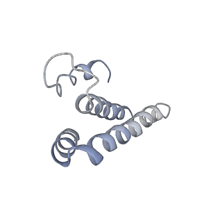 0482_6nqb_O_v1-4
Role of Era in Assembly and Homeostasis of the Ribosomal Small Subunit