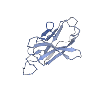 0485_6nqd_C_v1-1
Cryo-EM structure of T/F100 SOSIP.664 HIV-1 Env trimer in complex with 8ANC195 Fab