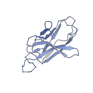 0485_6nqd_C_v2-0
Cryo-EM structure of T/F100 SOSIP.664 HIV-1 Env trimer in complex with 8ANC195 Fab