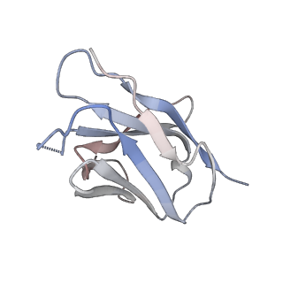 0485_6nqd_D_v1-1
Cryo-EM structure of T/F100 SOSIP.664 HIV-1 Env trimer in complex with 8ANC195 Fab