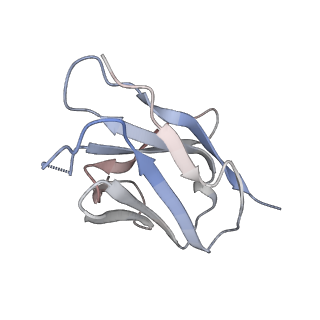 0485_6nqd_D_v2-0
Cryo-EM structure of T/F100 SOSIP.664 HIV-1 Env trimer in complex with 8ANC195 Fab