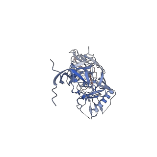 0485_6nqd_E_v1-1
Cryo-EM structure of T/F100 SOSIP.664 HIV-1 Env trimer in complex with 8ANC195 Fab