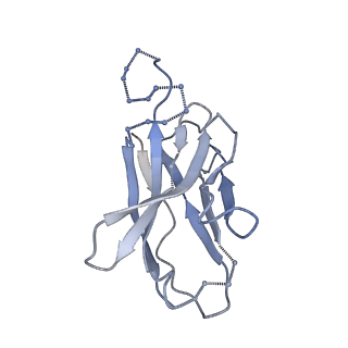 0485_6nqd_G_v1-1
Cryo-EM structure of T/F100 SOSIP.664 HIV-1 Env trimer in complex with 8ANC195 Fab